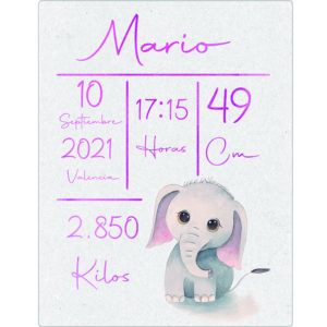 Natalicio bebé Elefante Rosa Mario