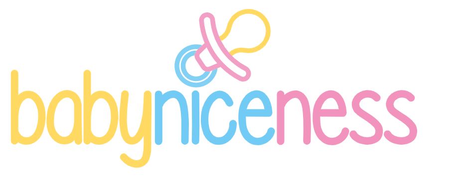 Logo Babyniceness-ok